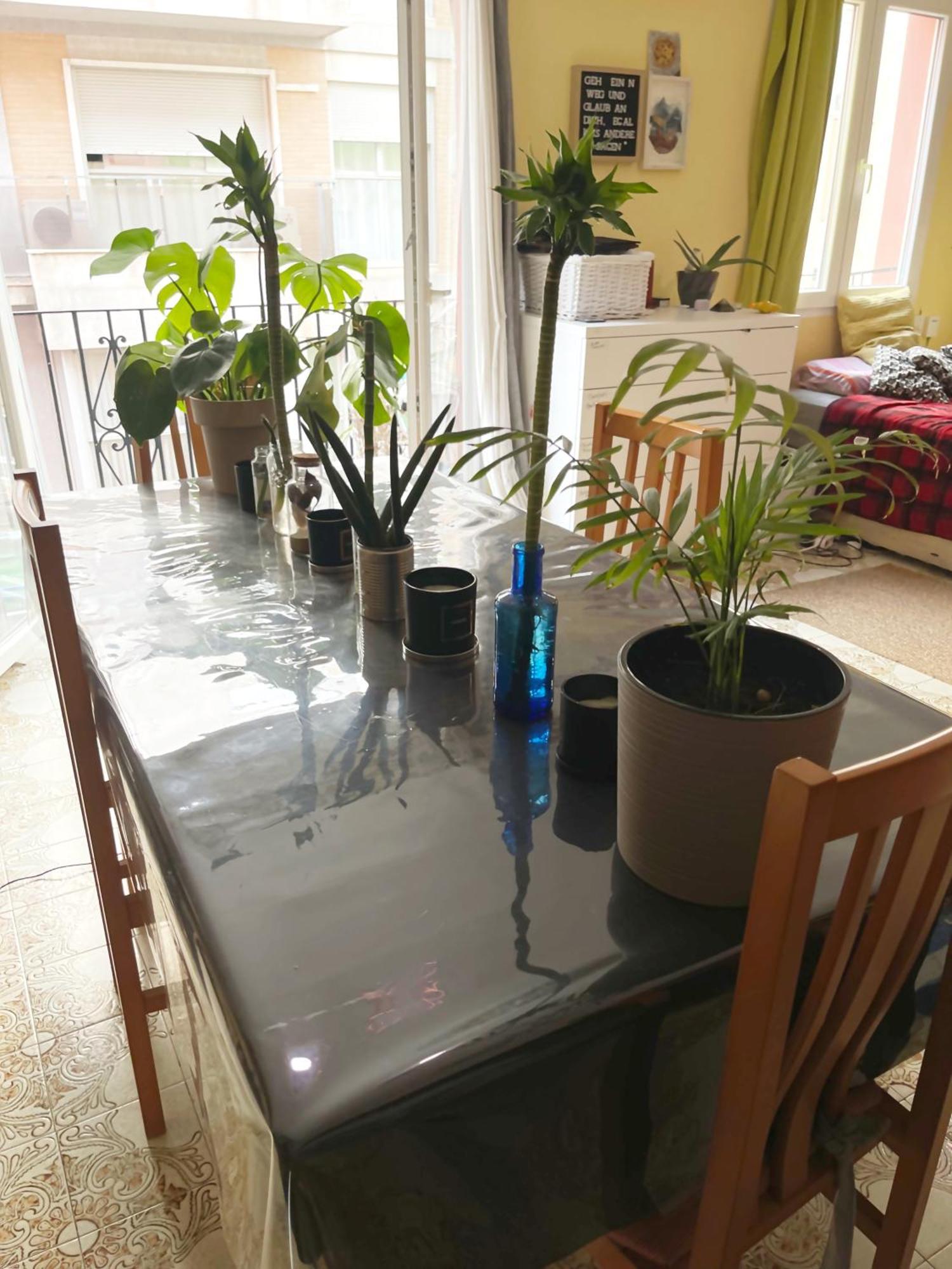 Gemuetliches Zimmer "Gold" Fuer 2 Personen Und Katzenliebhaber Βαλένθια Εξωτερικό φωτογραφία